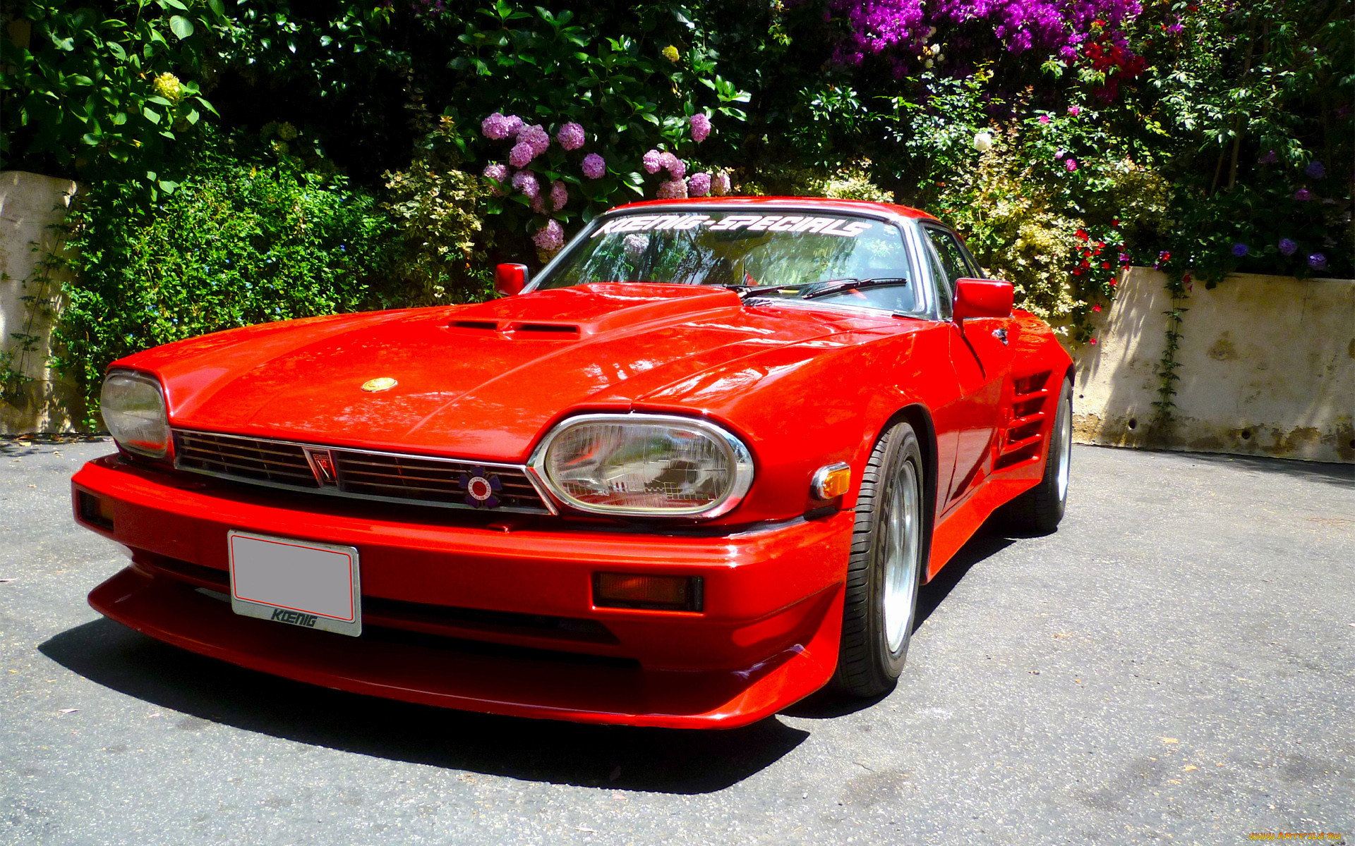 , jaguar, red